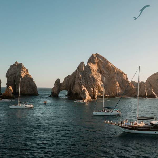 Vista del paquete Los cabos fin de año